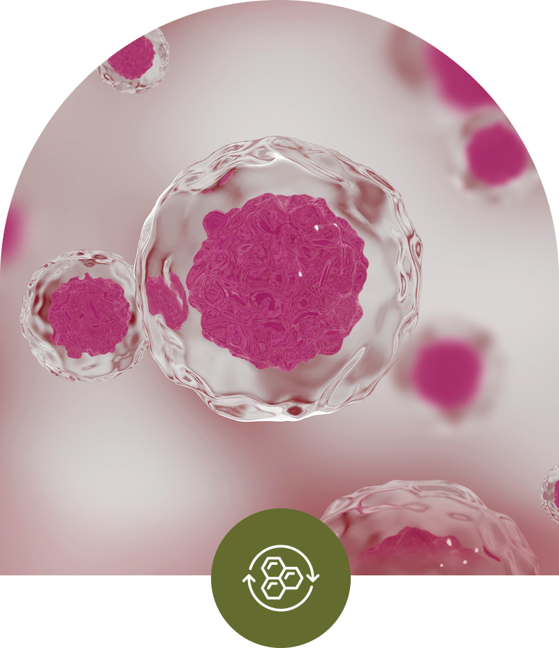 Lifewave Stem Cell Regeneration
